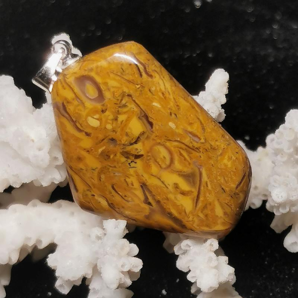 Fossilien Jaspis Anhänger
